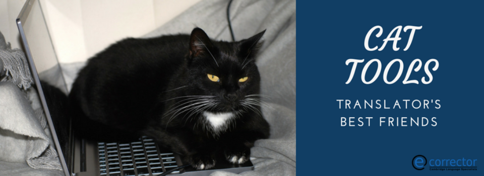 CAT tools – translator’s best friends