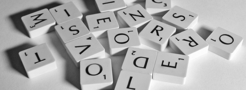 Add to your Vocab
