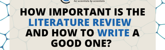 How important is the literature review and how to write a good one?